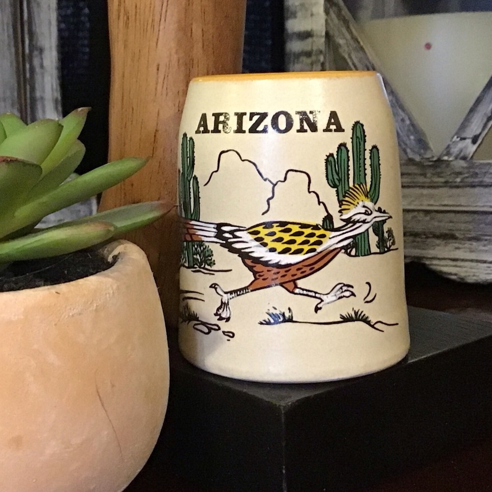 Vintage Arizona Roadrunner toothpick holder